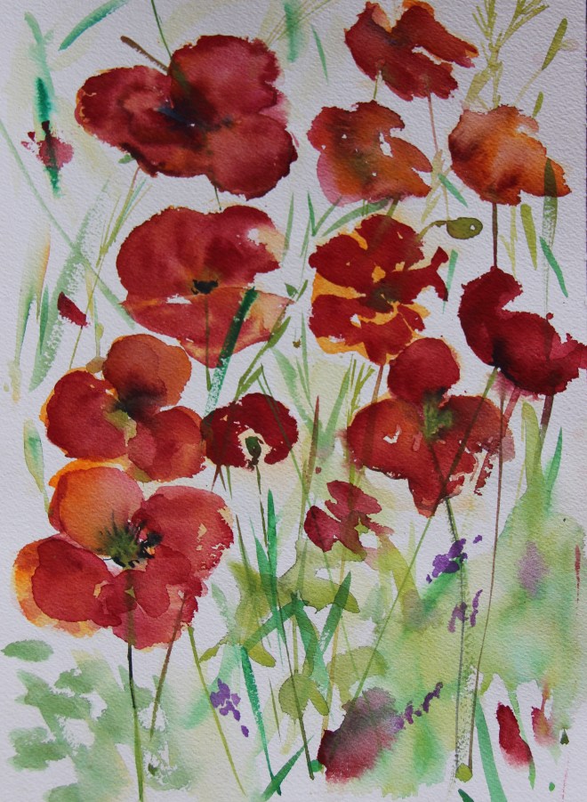A quick poppy sketch in the heat of the day
