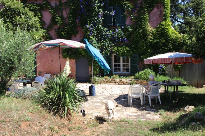 at our house in the middle of our field