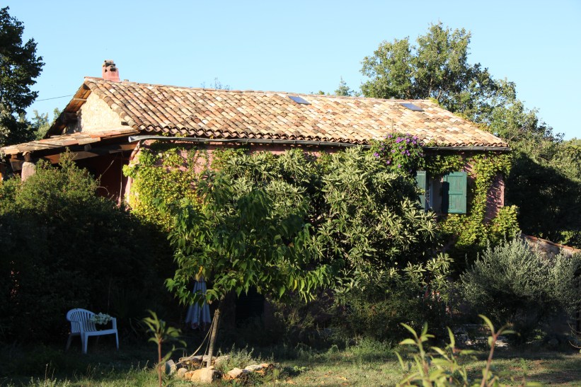 Hidden behind the medlar tree, covered in Virginia Creeper and Morning Glory
