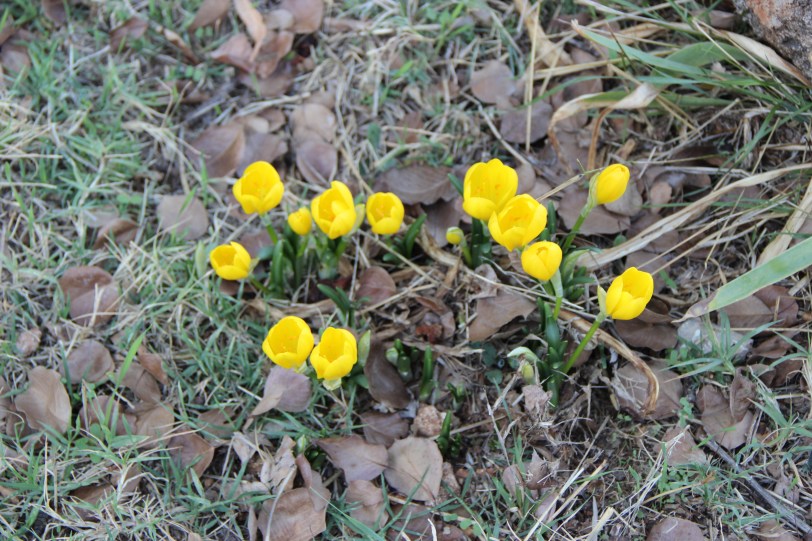No one would be live it is supposed to be autumn the sun is hot the days are heavenly and well the pool is just delicious