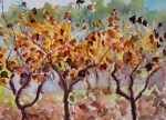 paint-provence-with-tess_lorgues-vineyards-2