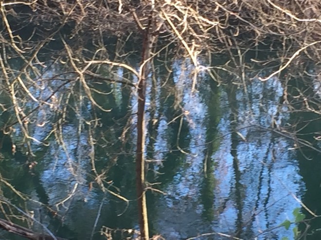 reflections-on-the-river-argens