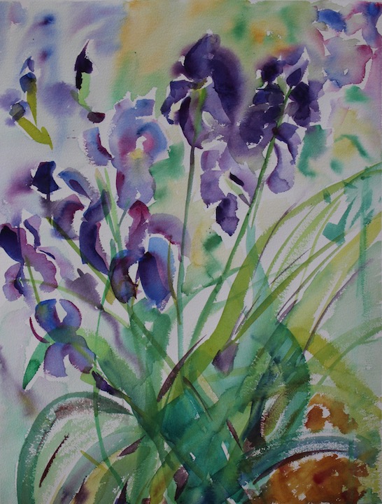 iris-april-20th-2016