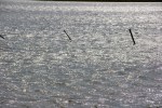 IMG_6347