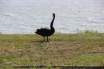 IMG_6365
