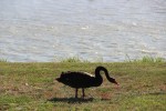 IMG_6368