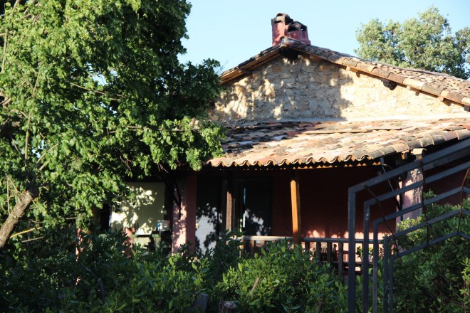 Our terrace in the shade of the linden tree.JPG