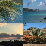 A9348BF0-B05B-42A6-B79A-F7947073DC8F