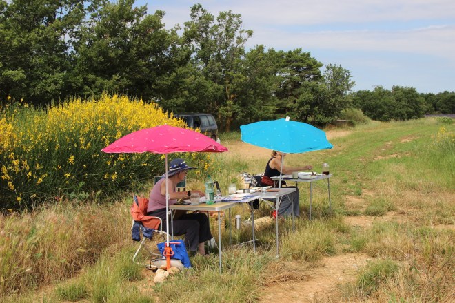 Concentrating in Provence