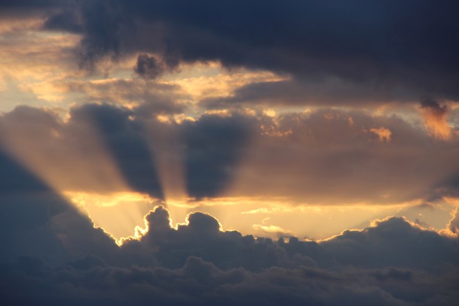 Look at me arn't I stunning?