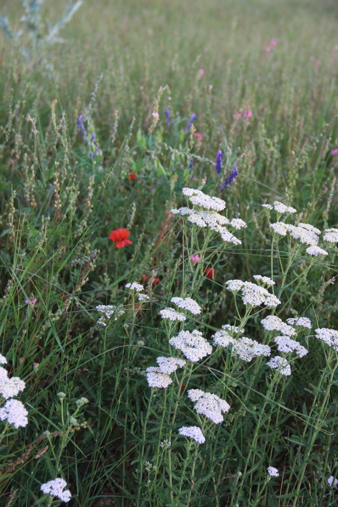 Pretty pretty pretty