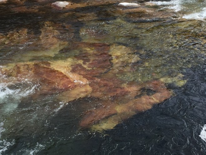 river mare-clairac languedoc
