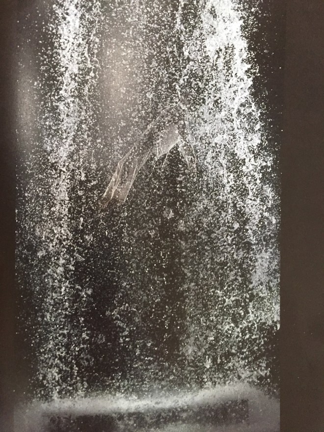 Resurrection Bill Viola