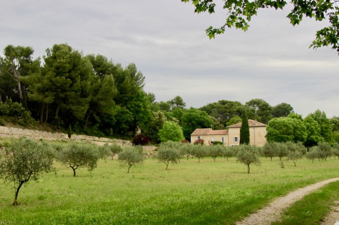 our house in Provence through the olive groves