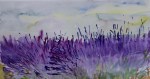 Lavenders blue